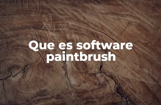 Que es Software Paintbrush
