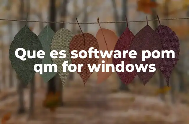 Que es Software Pom Qm For Windows