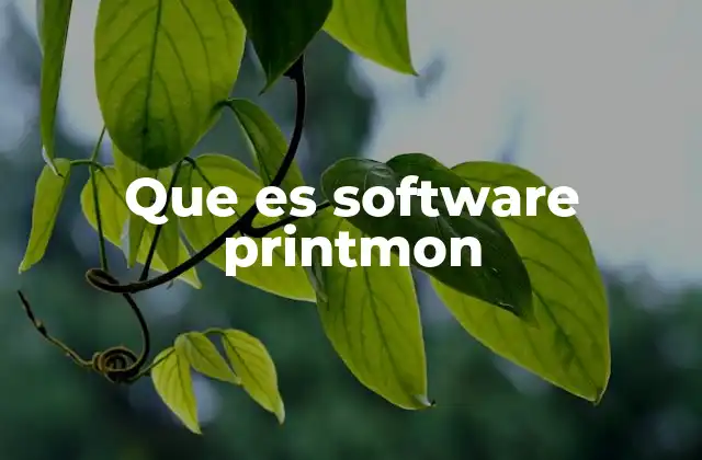 Que es Software Printmon