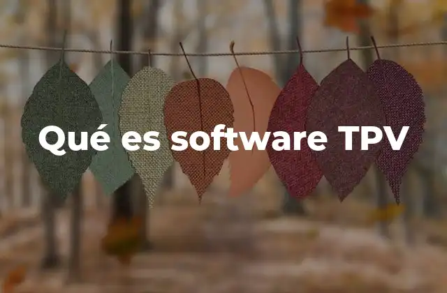 Qué es Software Tpv 2 La importancia de contar con un sistema digital en los negocios