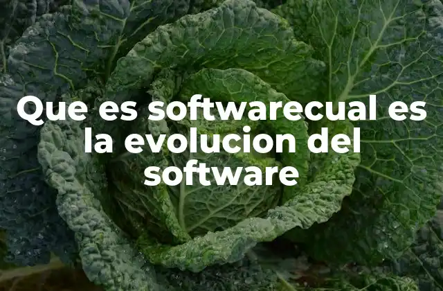 Que es Softwarecual es la Evolucion Del Software 2 El desarrollo del software a lo largo de la historia