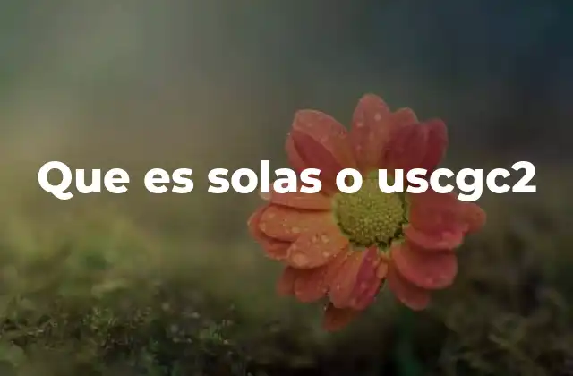 Que es Solas o Uscgc2