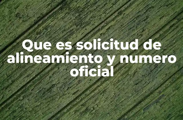 Que es Solicitud de Alineamiento y Numero Oficial