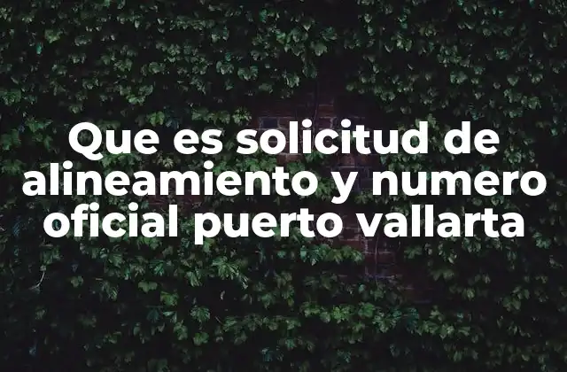 Que es Solicitud de Alineamiento y Numero Oficial Puerto Vallarta