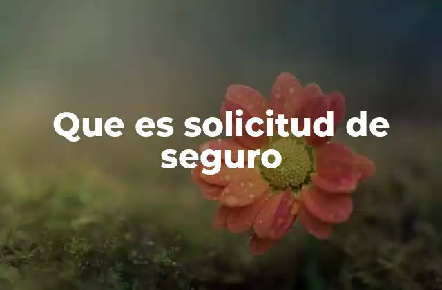 Que es Solicitud de Seguro