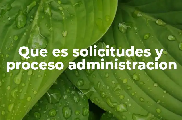 Que es Solicitudes y Proceso Administracion