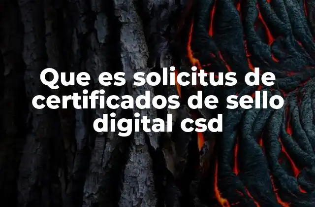 Que es Solicitus de Certificados de Sello Digital Csd