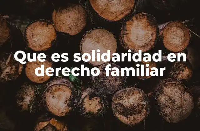 Que es Solidaridad en Derecho Familiar