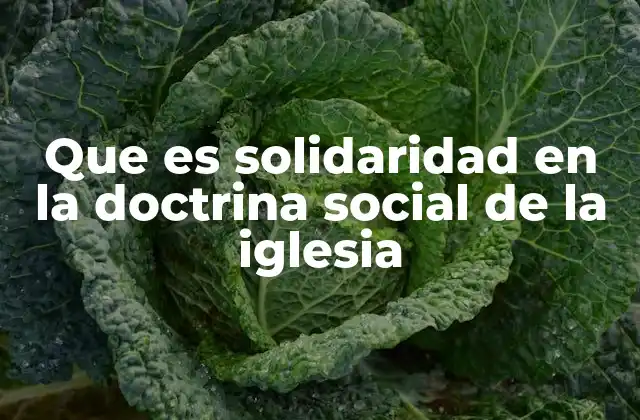 Que es Solidaridad en la Doctrina Social de la Iglesia