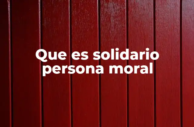 Que es Solidario Persona Moral