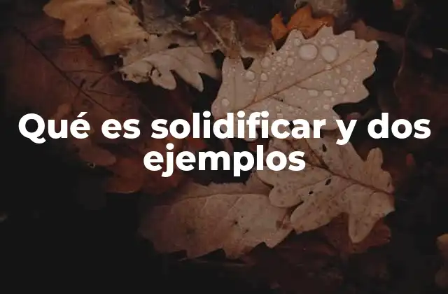 Qué es Solidificar y Dos Ejemplos