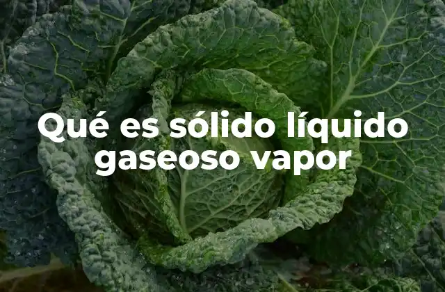 Qué es Sólido Líquido Gaseoso Vapor