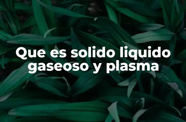 Que es Solido Liquido Gaseoso y Plasma