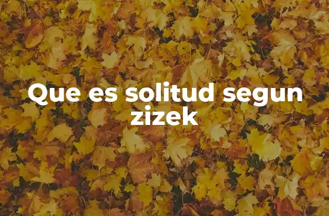 Que es Solitud Segun Zizek