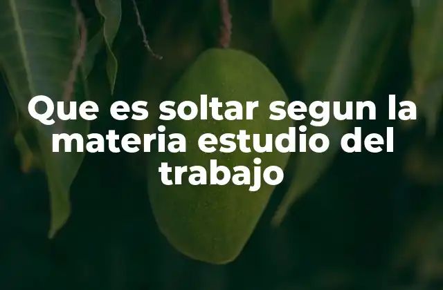Que es Soltar Segun la Materia Estudio Del Trabajo