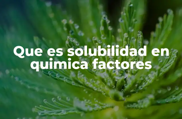 Que es Solubilidad en Quimica Factores
