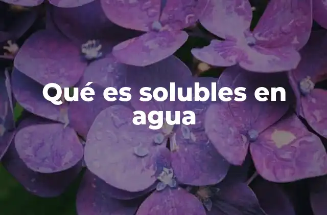 Qué es Solubles en Agua