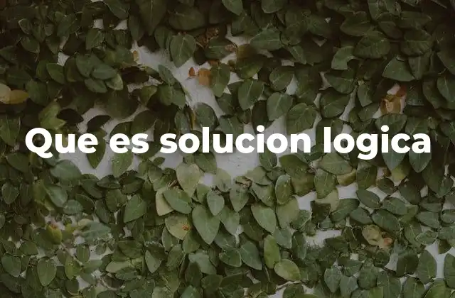 Que es Solucion Logica