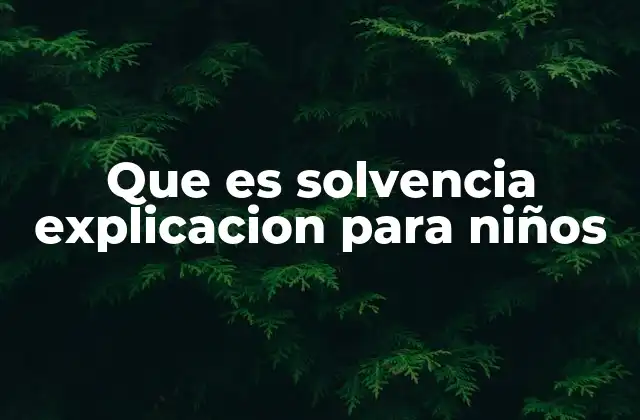Que es Solvencia Explicacion para Niños