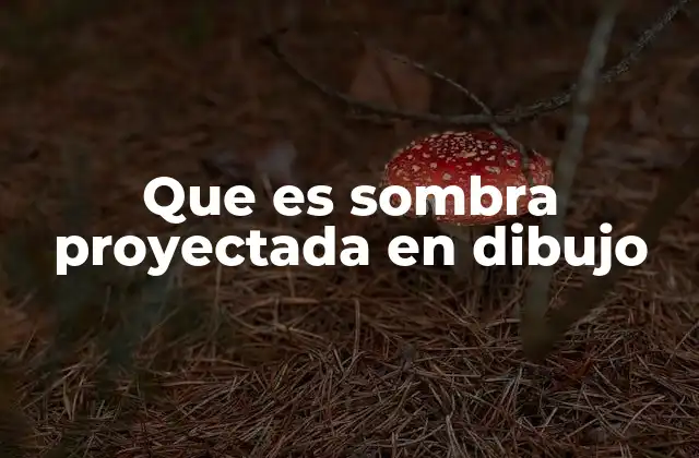 Que es Sombra Proyectada en Dibujo