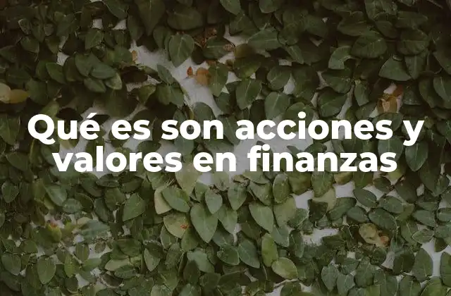 Qué es Son Acciones y Valores en Finanzas