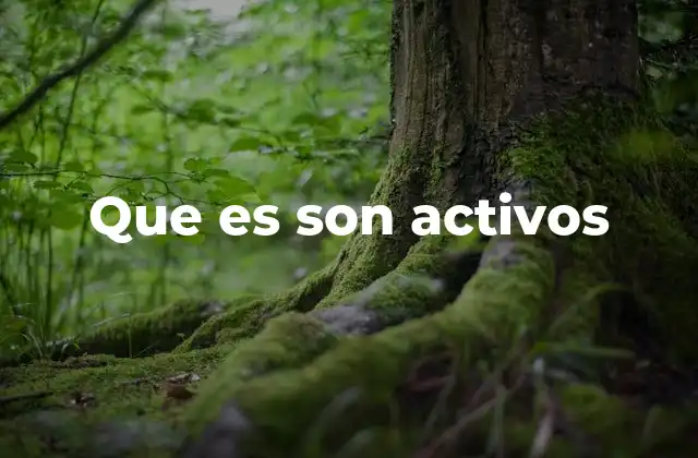 Que es Son Activos