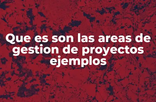 Que es Son las Areas de Gestion de Proyectos Ejemplos