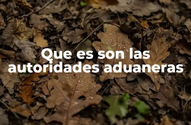 Que es Son las Autoridades Aduaneras 2 El papel de las autoridades en el comercio internacional