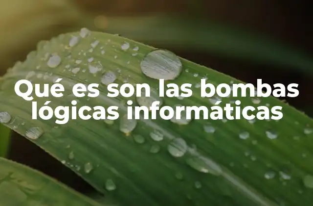 Las bombas lógicas y su relación con la seguridad informática