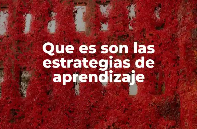 Que es Son las Estrategias de Aprendizaje