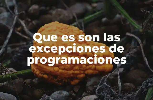 Que es Son las Excepciones de Programaciones