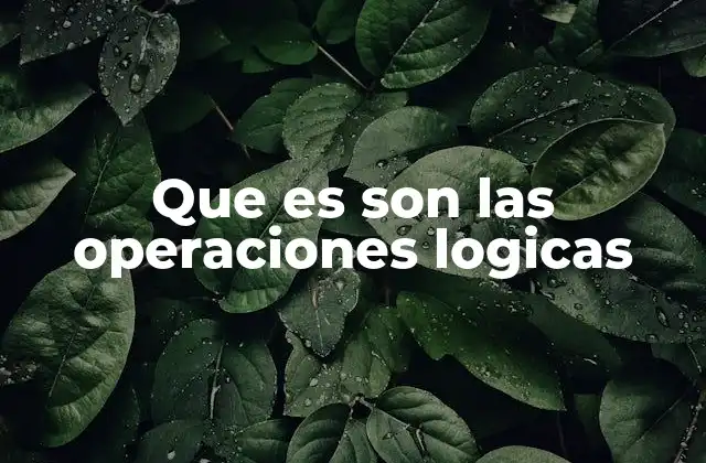 Que es Son las Operaciones Logicas