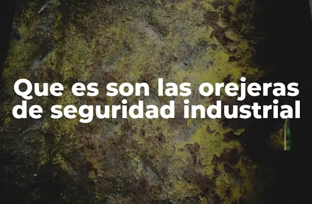 El papel de la protección auditiva en entornos industriales
