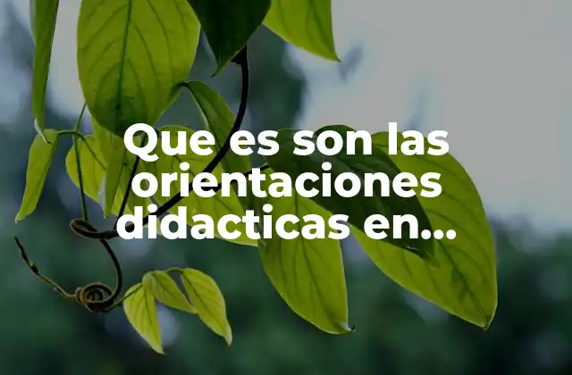 El rol de las orientaciones didácticas en la enseñanza primaria