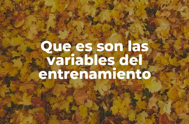 Que es Son las Variables Del Entrenamiento