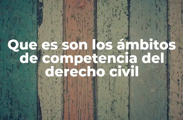 Que es Son los Ámbitos de Competencia Del Derecho Civil