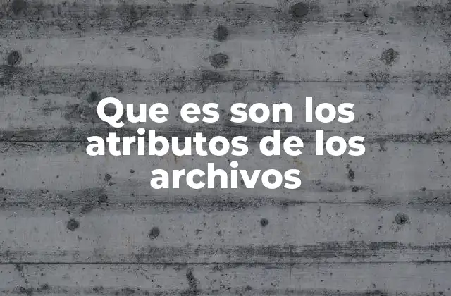 La importancia de los atributos en la gestión de archivos