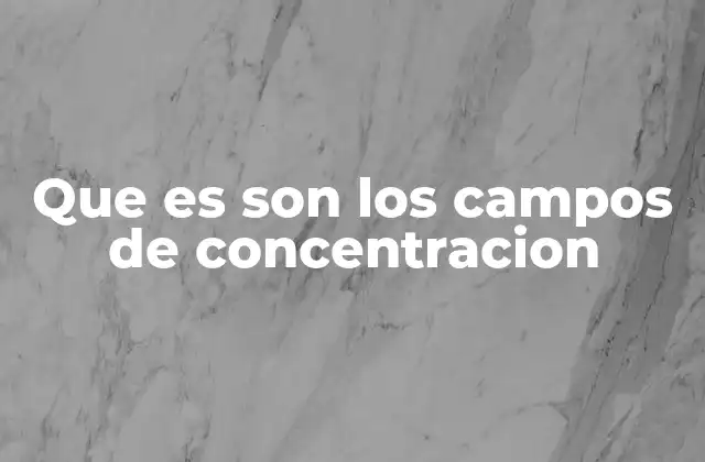 Que es Son los Campos de Concentracion