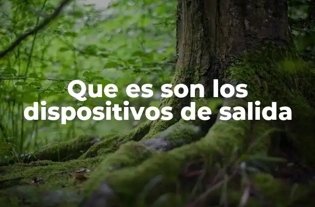 Que es Son los Dispositivos de Salida