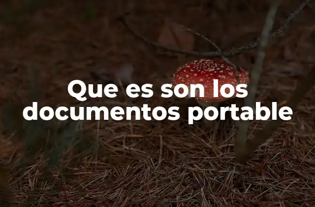 Que es Son los Documentos Portable