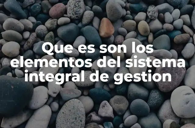Que es Son los Elementos Del Sistema Integral de Gestion