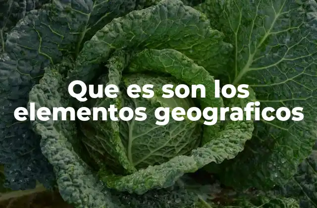 Componentes esenciales en el estudio del espacio terrestre