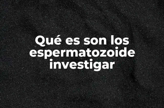 Qué es Son los Espermatozoide Investigar 2 El papel de los espermatozoides en la reproducción humana