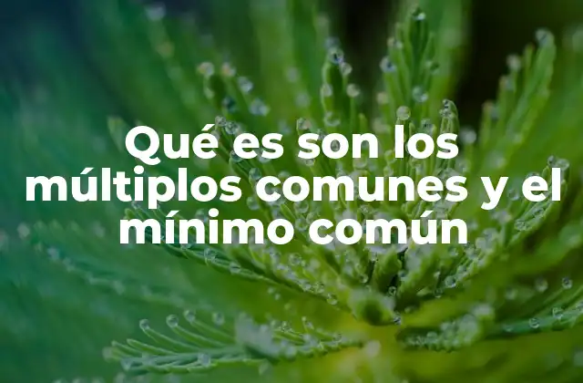 Qué es Son los Múltiplos Comunes y el Mínimo Común