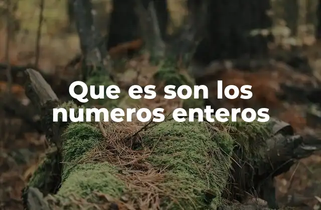 Que es Son los Numeros Enteros