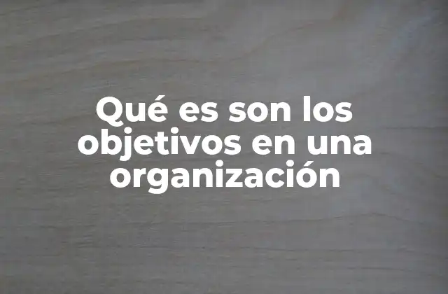 Qué es Son los Objetivos en una Organización