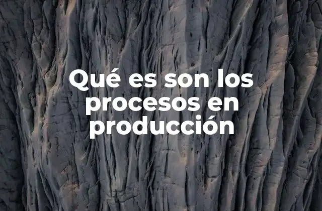 Qué es Son los Procesos en Producción