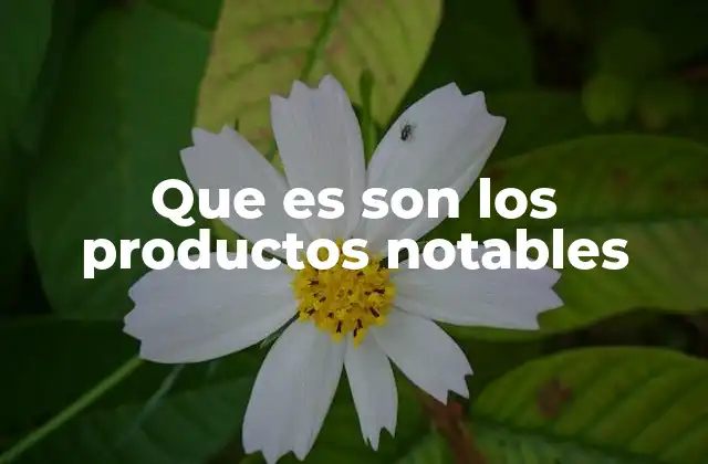 Que es Son los Productos Notables