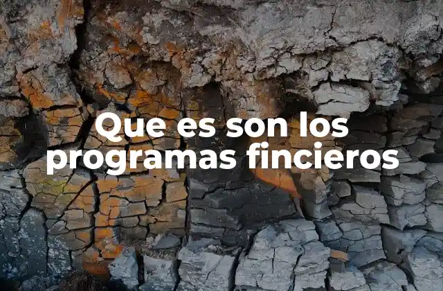 Que es Son los Programas Fincieros