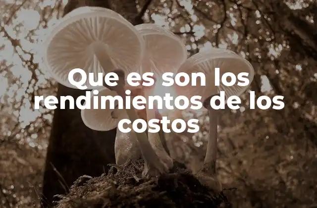 Que es Son los Rendimientos de los Costos